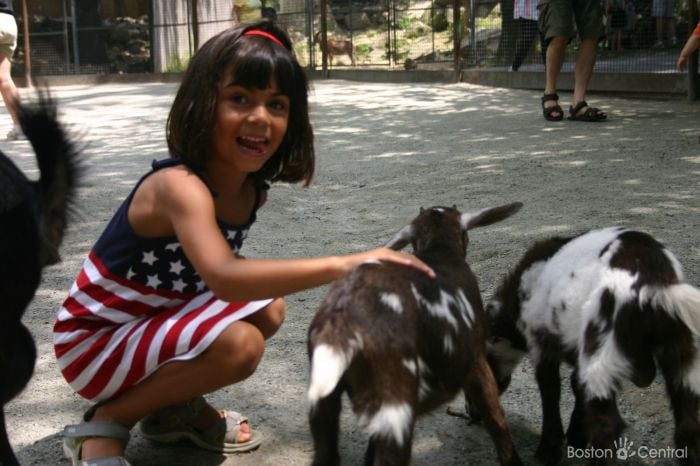 Boston Petting Zoos | BostonCentral Ami Sao